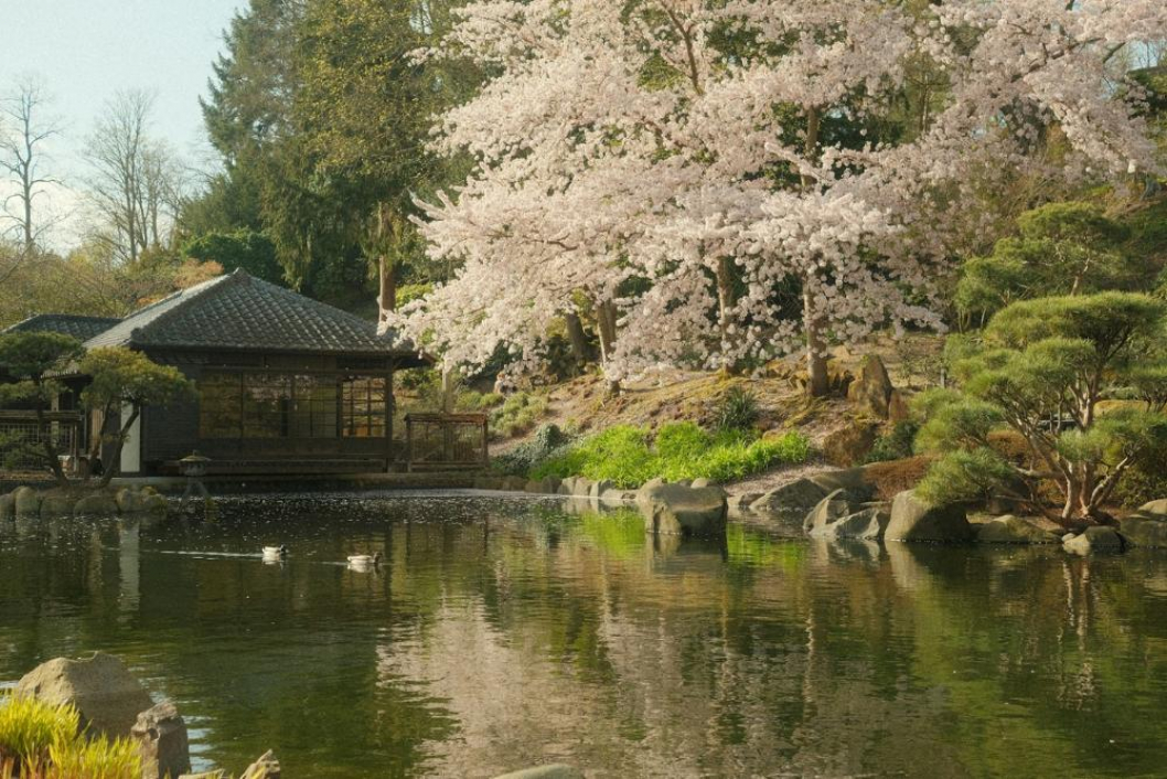 Computer Entsorgung Kaiserslautern